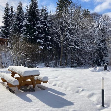 La Cabane Des Ecureuils Xonrupt-Longemer ภายนอก รูปภาพ