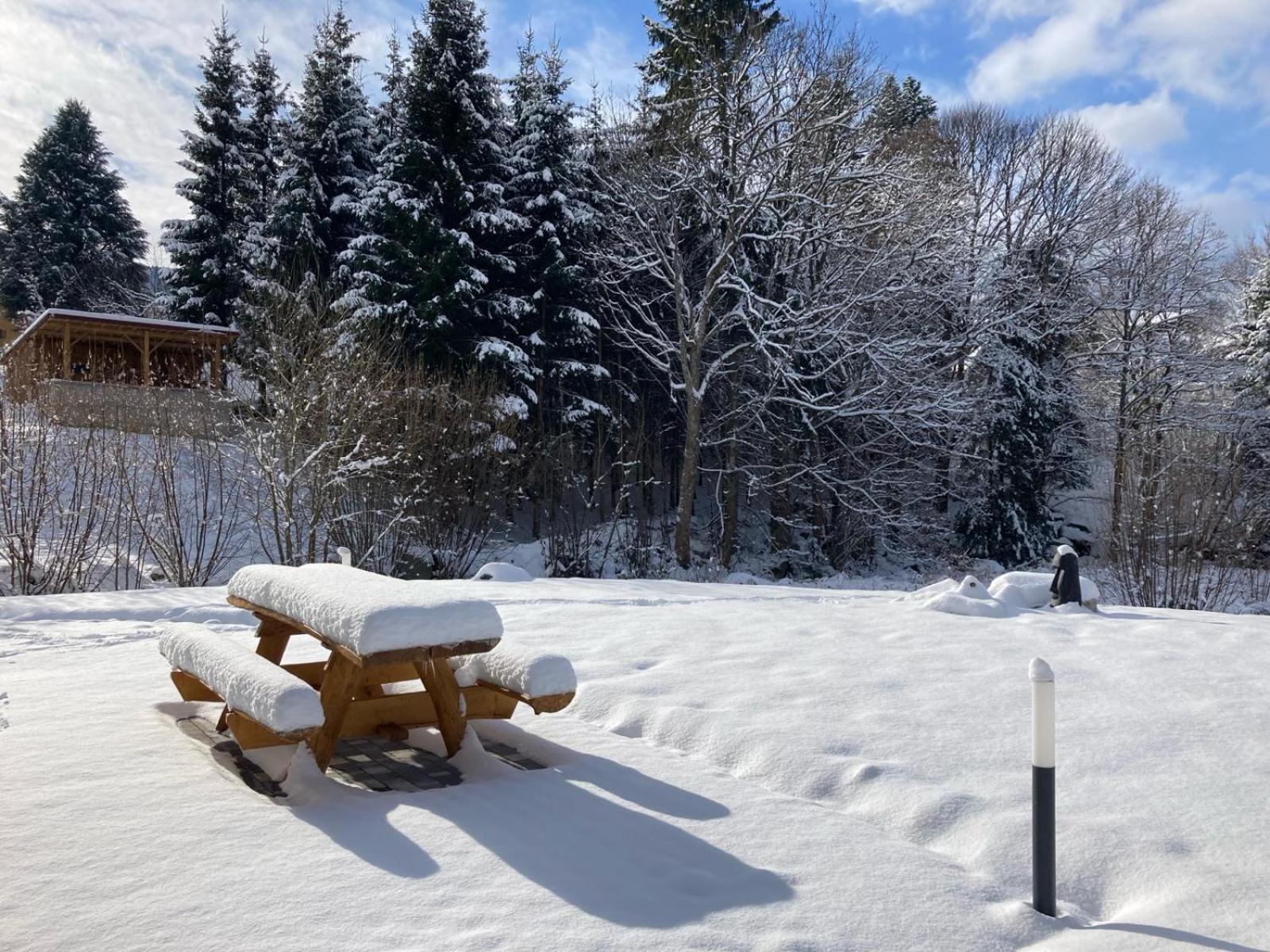 La Cabane Des Ecureuils Xonrupt-Longemer ภายนอก รูปภาพ
